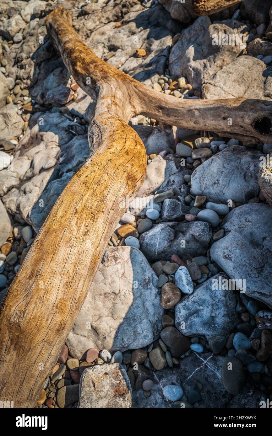 Bleached flotsam on a Welsh Beach Stock Photo