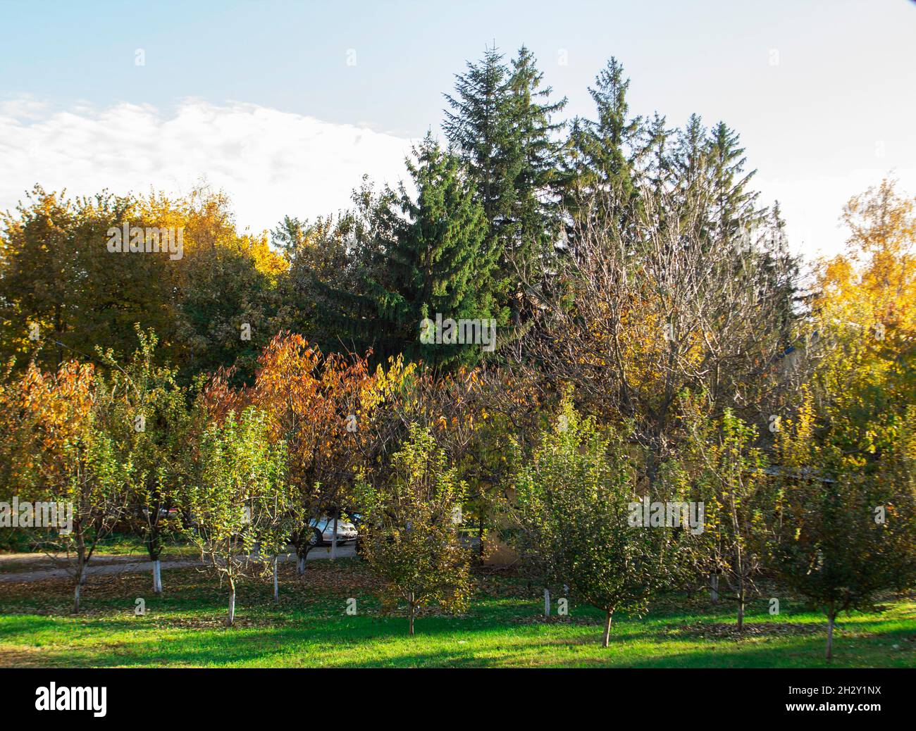 Autumn landscape in a city park, autumn in Moldova. Stock Photo
