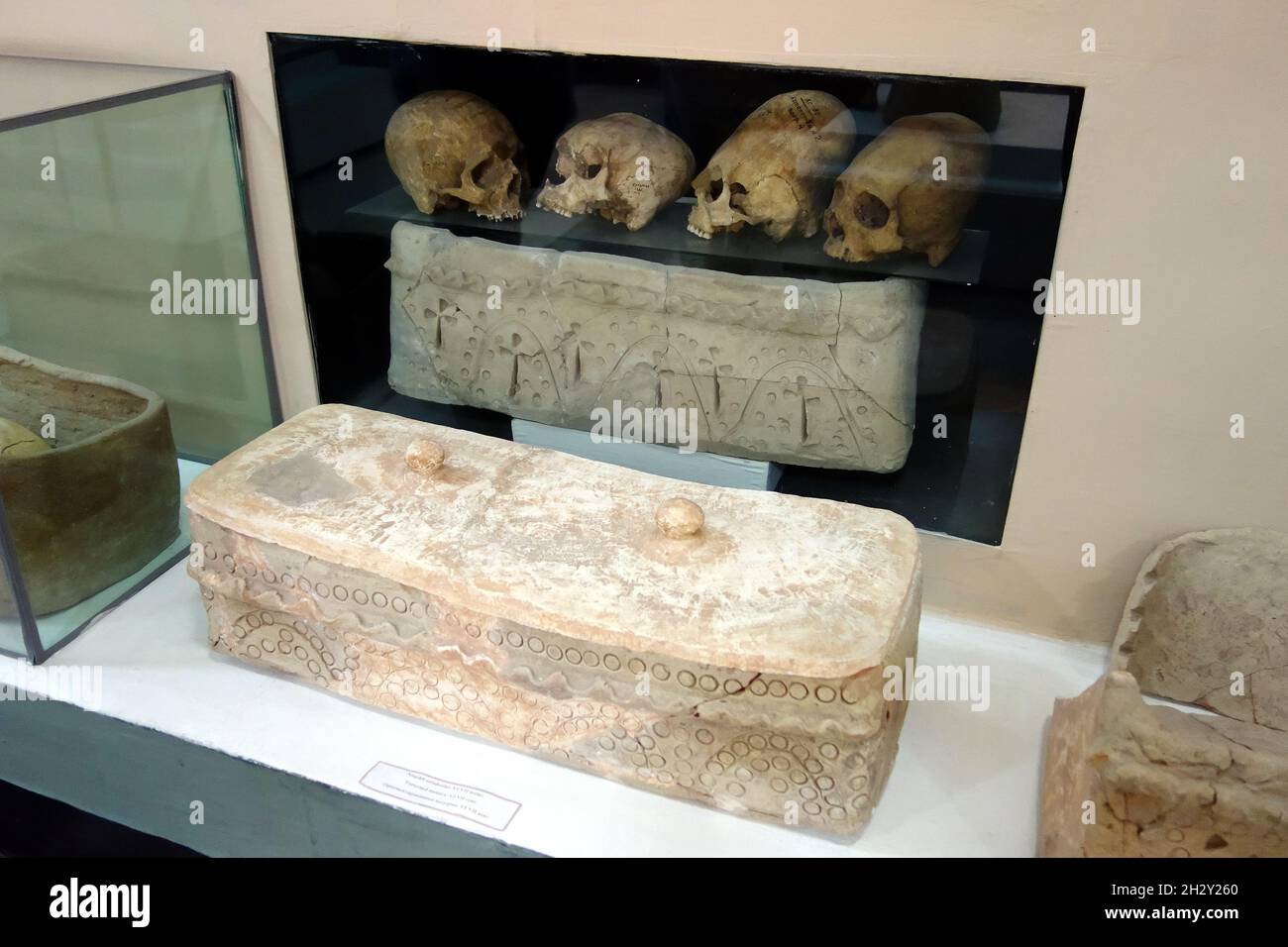 Elongated skulls, Afrasiab Museum, Afrosiyob-Samarqand shahar tarixi muzeyi, Samarkand, Uzbekistan, Central Asia Stock Photo