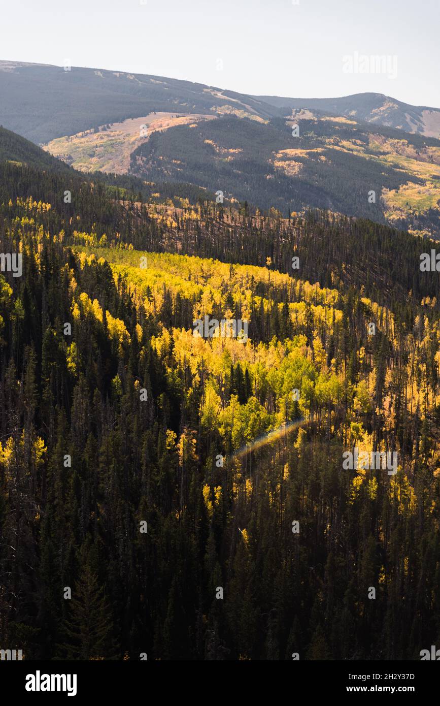 Fall foliage in Vail, Colorado Stock Photo Alamy