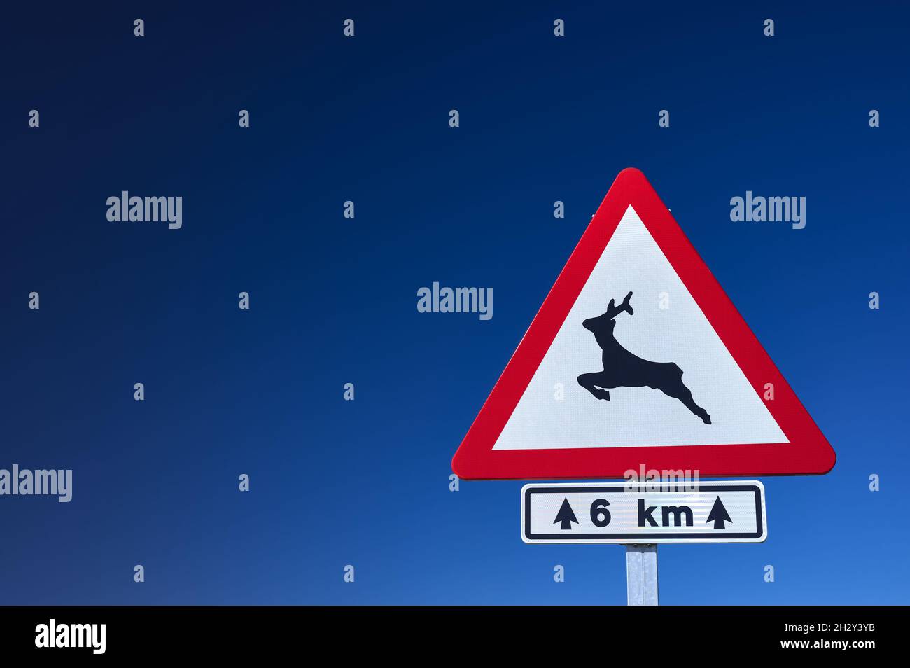 detail of an animal crossing danger traffic sign against a blue sky Stock Photo