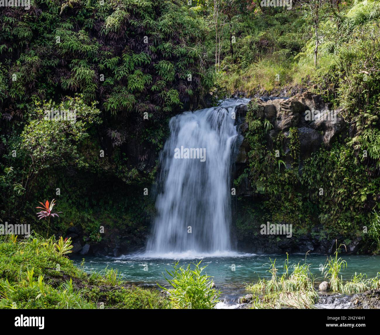 scenic-waterfall-along-the-road-to-hana-east-maui-shore-hawaii-stock