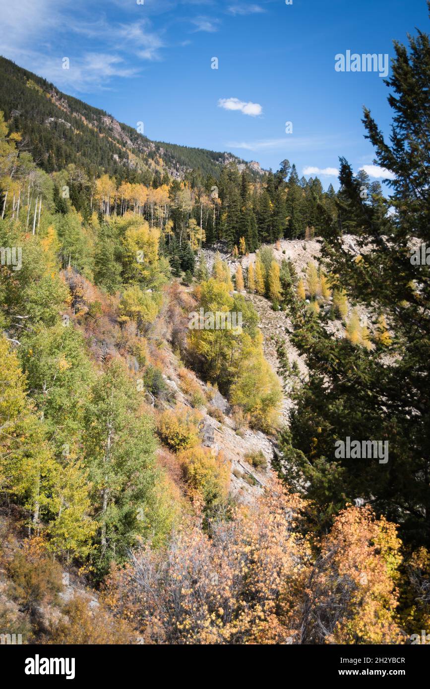 Fall foliage near Aspen, Colorado Stock Photo Alamy