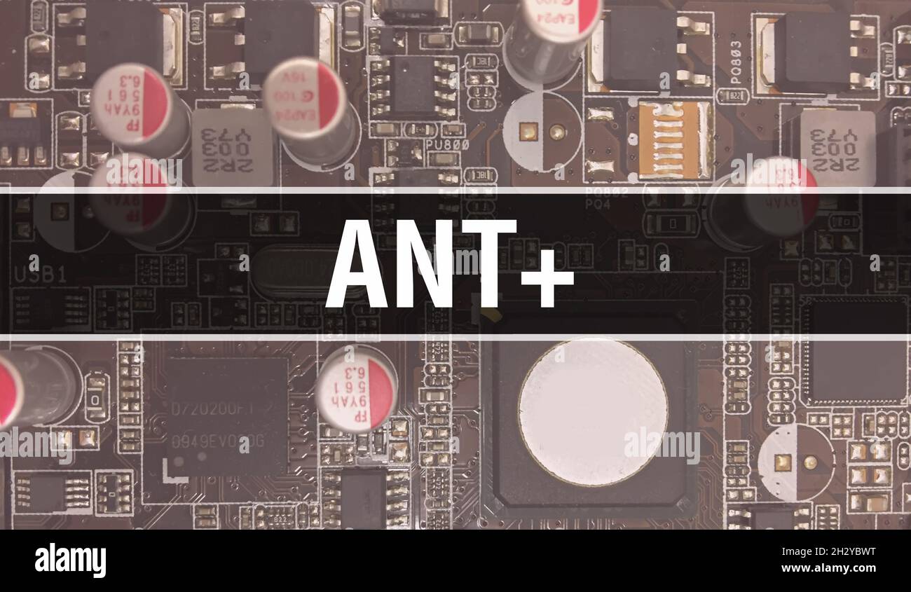 ant  computer