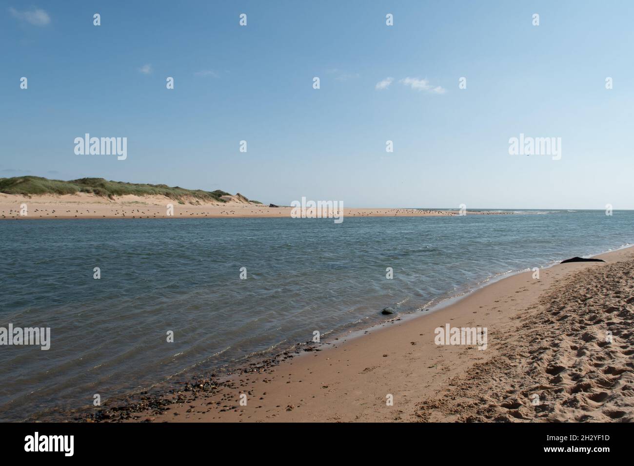 View of Newburgh Seal Beach and River Ythan. Blue sky sunny day. Beach near Aberdeen in Scotland. Stock Photo