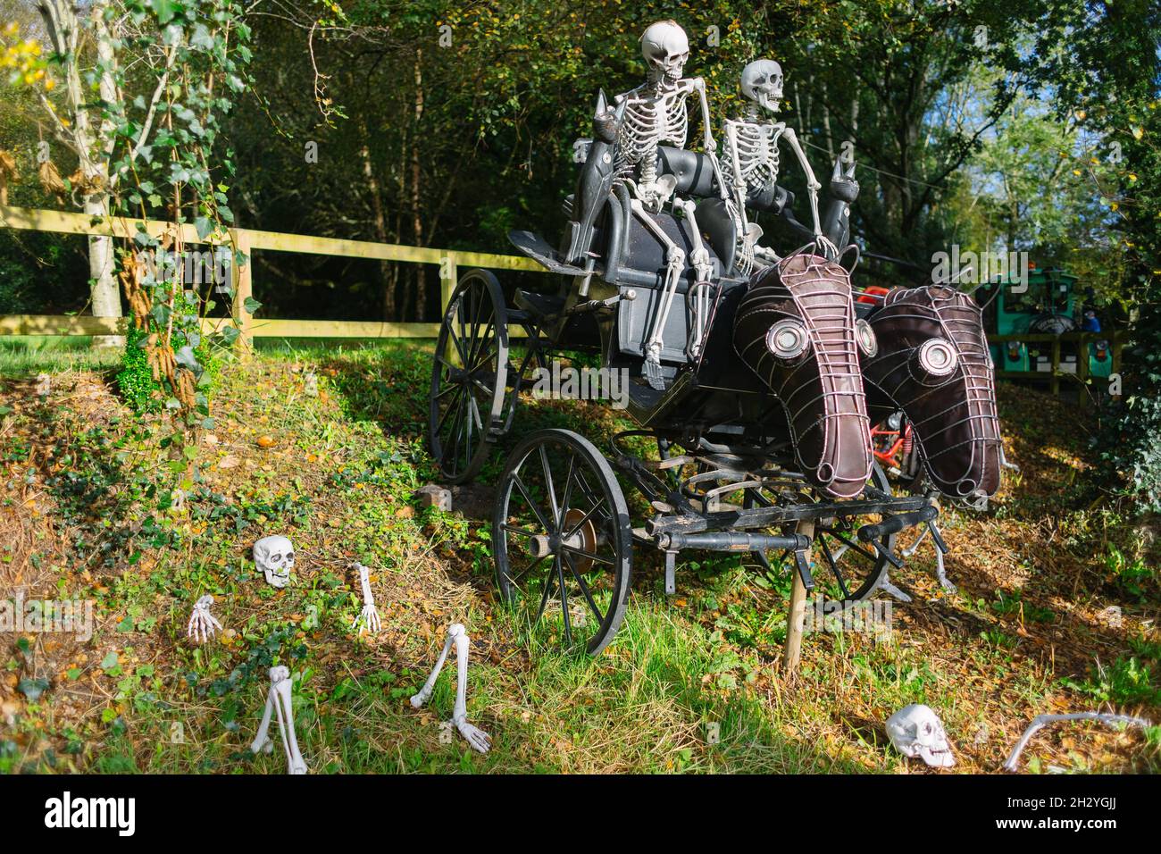 spooky halloween decoration with two real size skeletons riding in ...