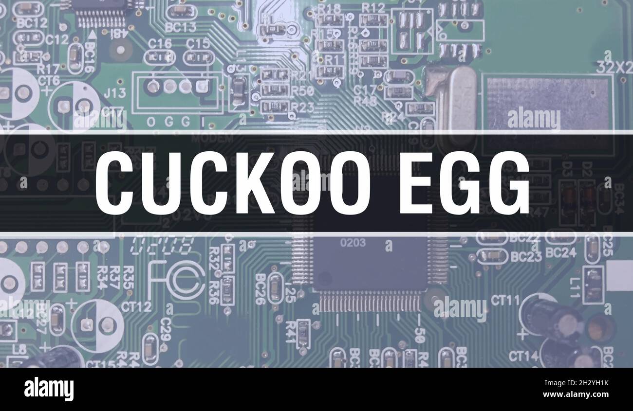 Cuckoo Egg with Electronic Computer Hardware technology background ...