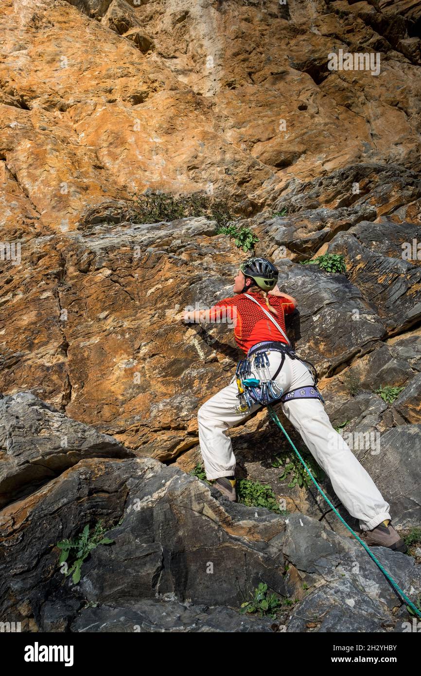 Female rock climber with clim and placing rock climbing safety gear in the rock Stock Photo Alamy