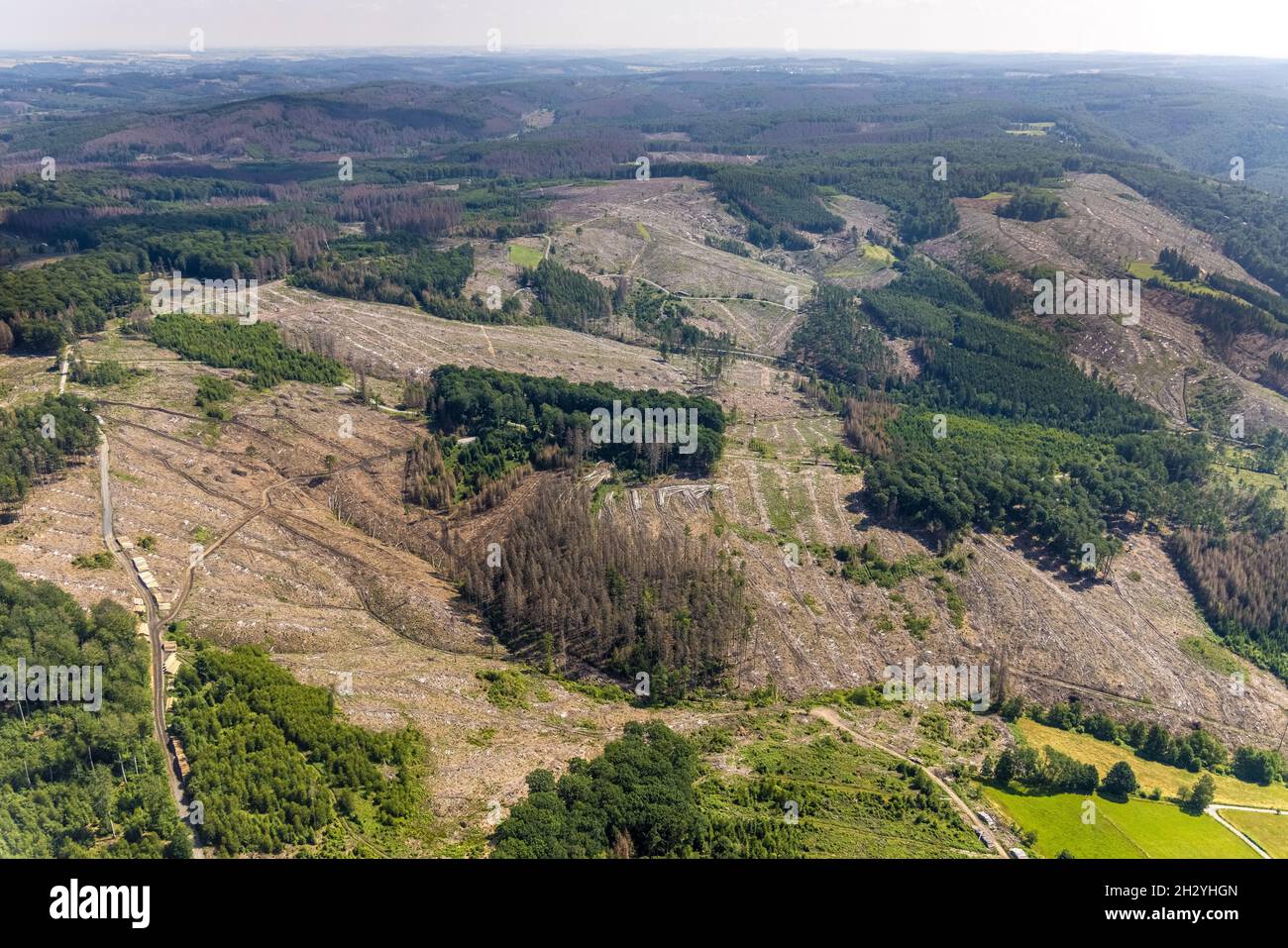 Aerial view, Arnsberg forest, forest area with forest damage in Glösingen, Oeventrop, Arnsberg, Sauerland, North Rhine-Westphalia, Germany, tree dieba Stock Photo