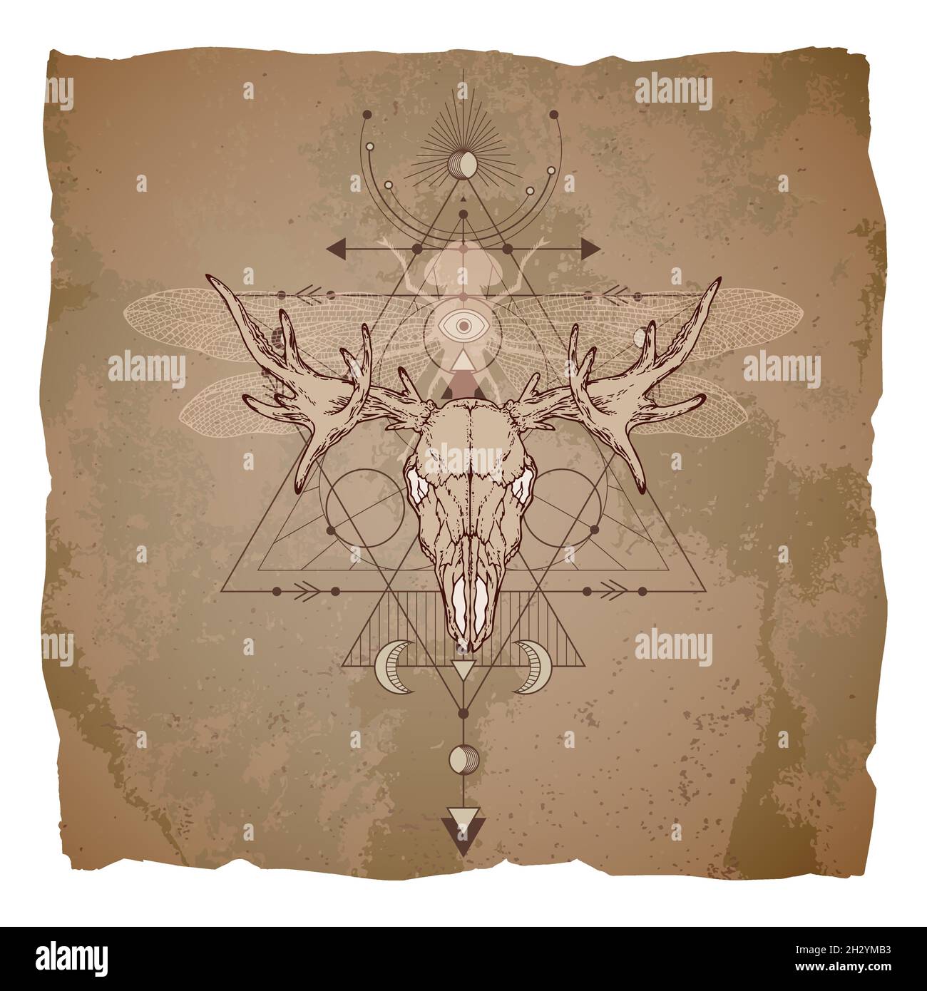 Vector illustration with hand drawn moose skull, dragonfly and Sacred geometric symbol on vintage paper background with torn edges. Abstract mystic si Stock Vector