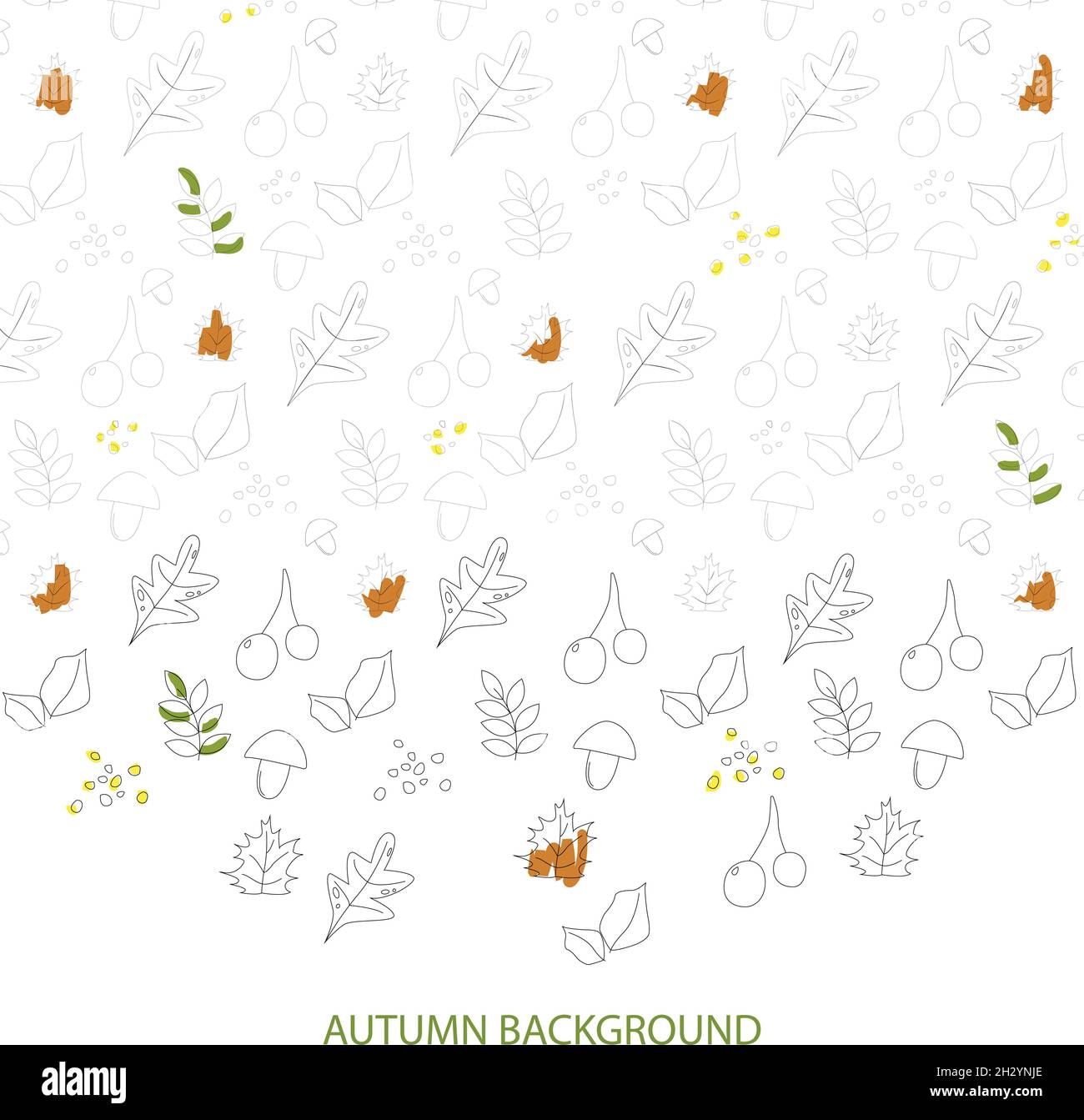 Autumn leaves set isolated on white background - Vector illustration ...