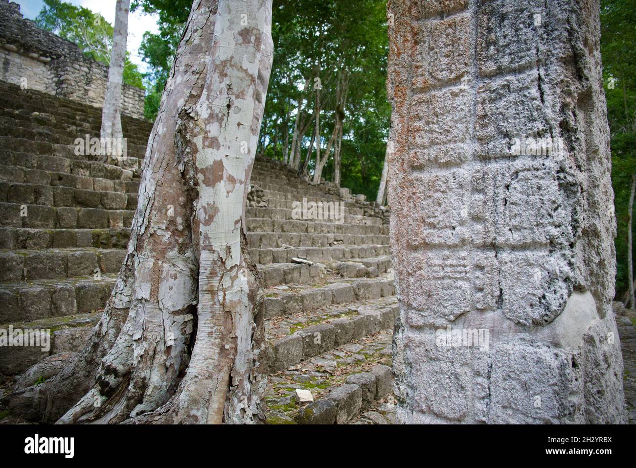 Calakmul, Mayan ruins, Mexico Stock Photo
