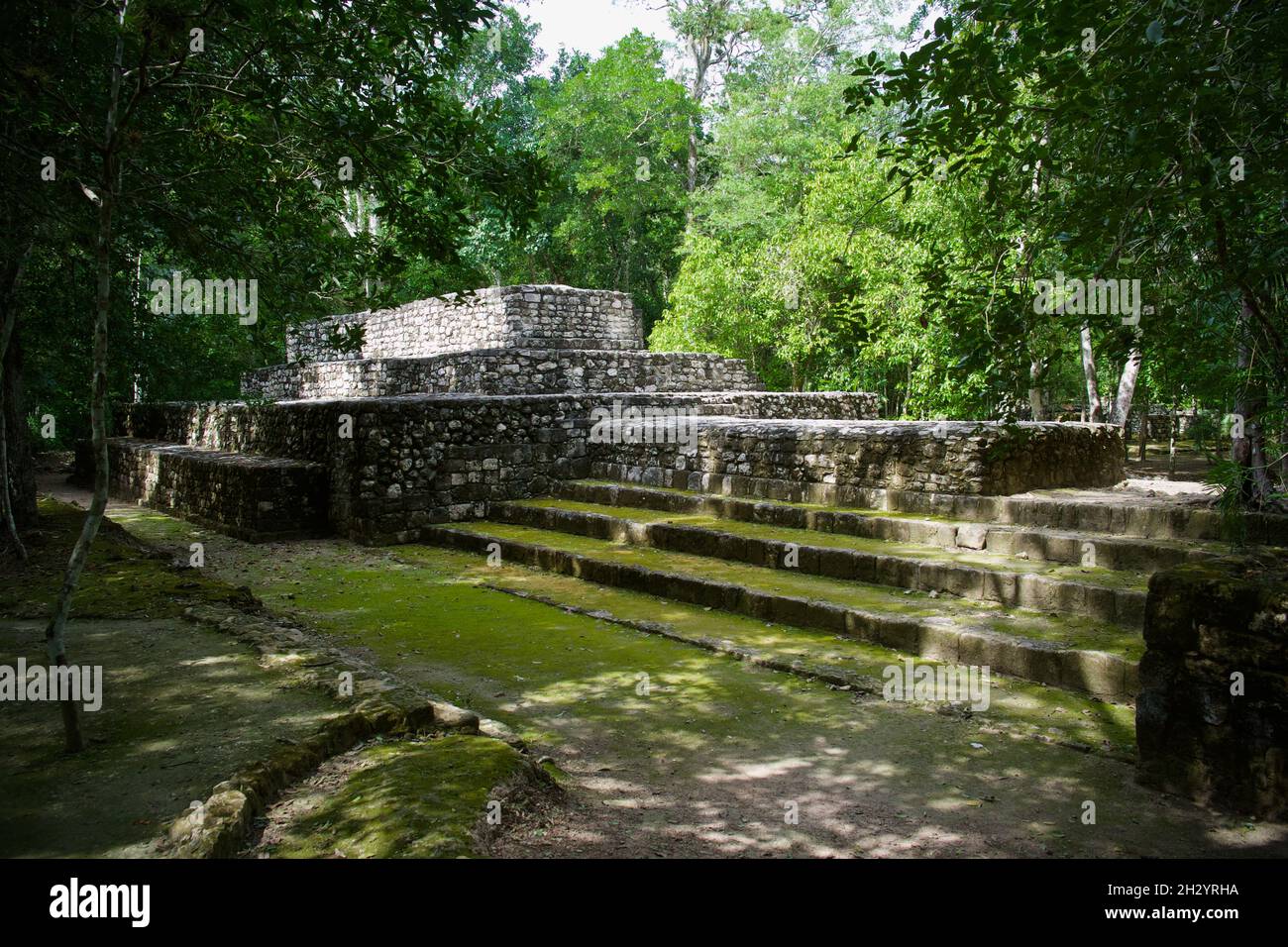 Calakmul, Mayan ruins, Mexico Stock Photo
