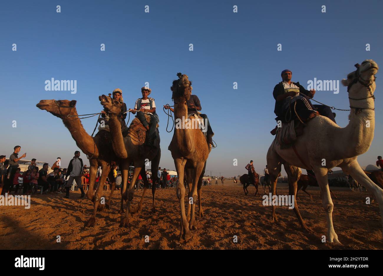 Gaza. 24th Oct, 2021. Palestinian jockeys ride camels as they take part ...