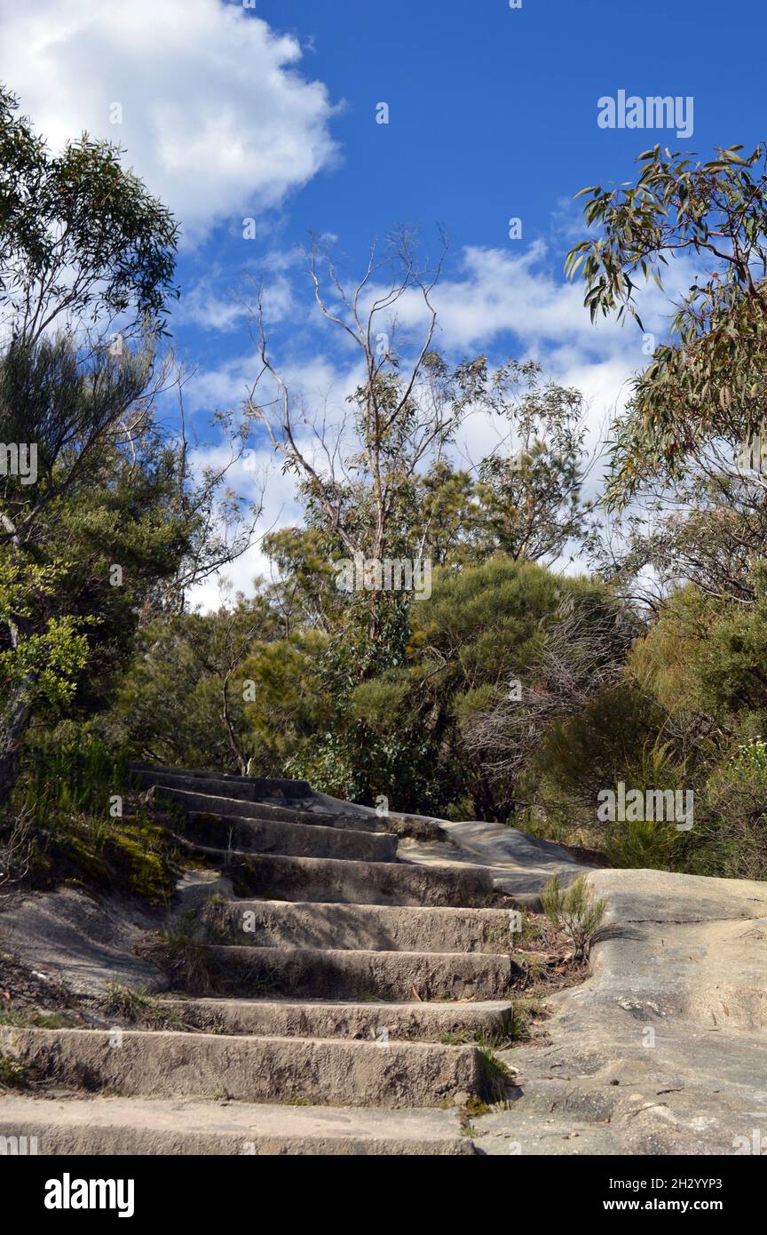 A walking trail in the Blue Mountains Stock Photo