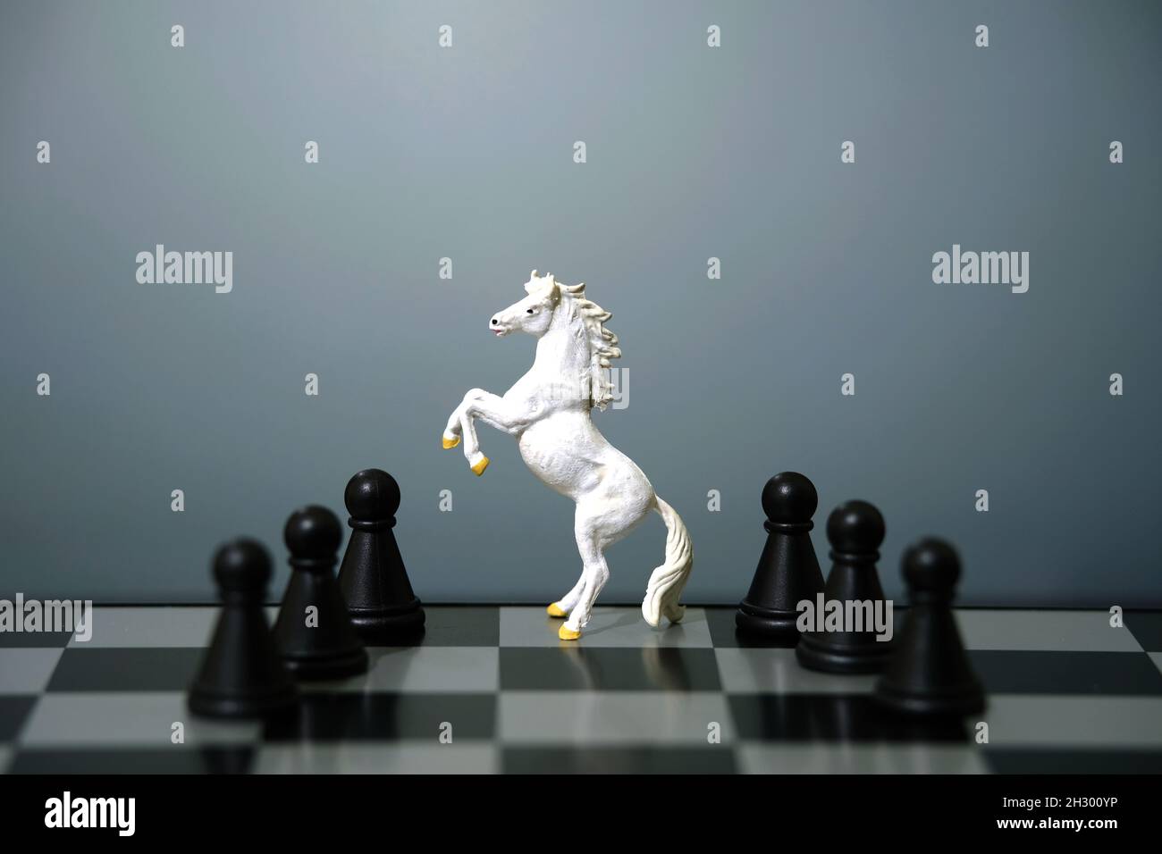 Chess horse hi-res stock photography and images - Alamy