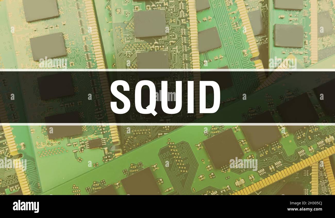 Squid Computer SQUID concept with Computer motherboard. SQUID text written on ...