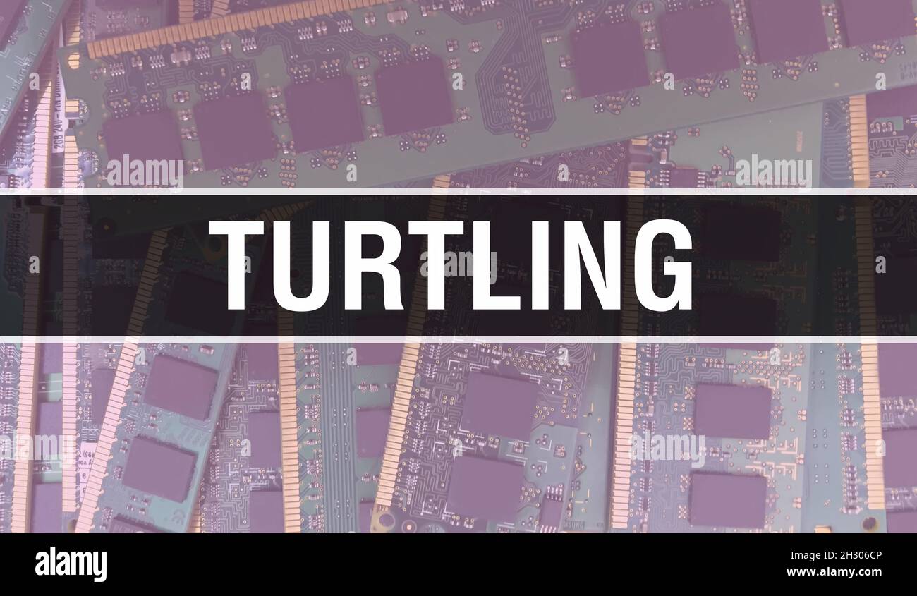 Turtling concept with Computer motherboard. Turtling text written on ...