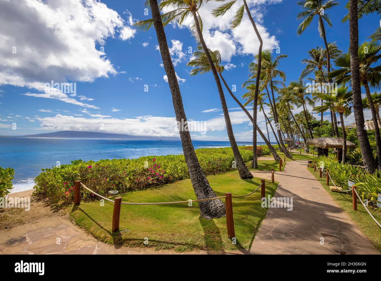 L11712 hires stock photography and images Alamy
