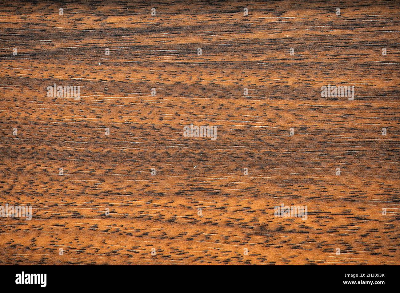 Dark beech, a flat natural wood surface with a deep brown color. Background, pattern, texture. Stock Photo