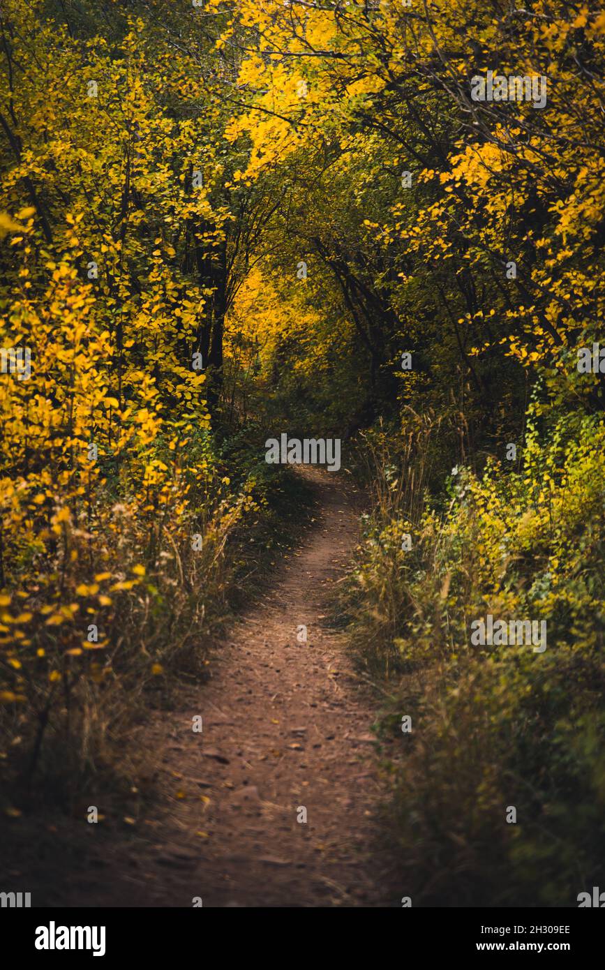 A trail in the mountains during fall Stock Photo - Alamy