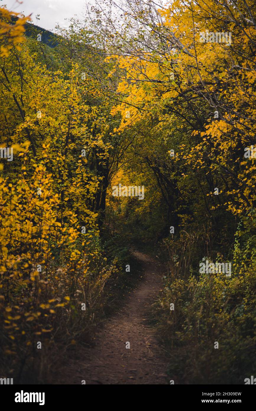 A trail in the mountains during fall Stock Photo - Alamy