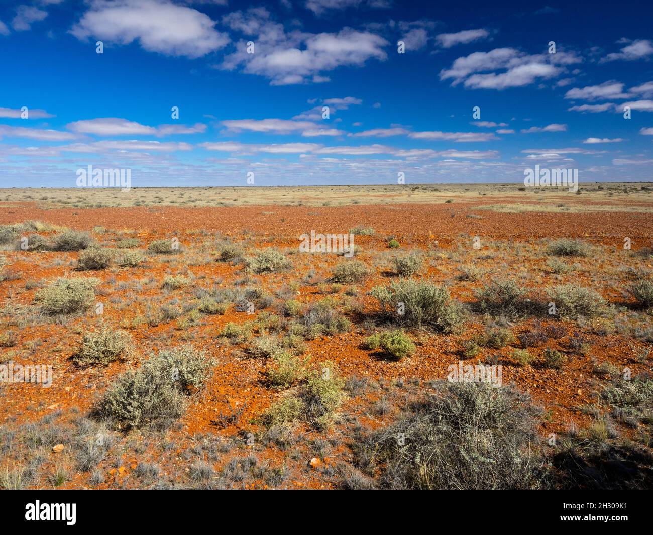 Red dirt and blue skies of the South Australian desert north of Coober Pedy seen from the Stuart Highway. Stock Photo
