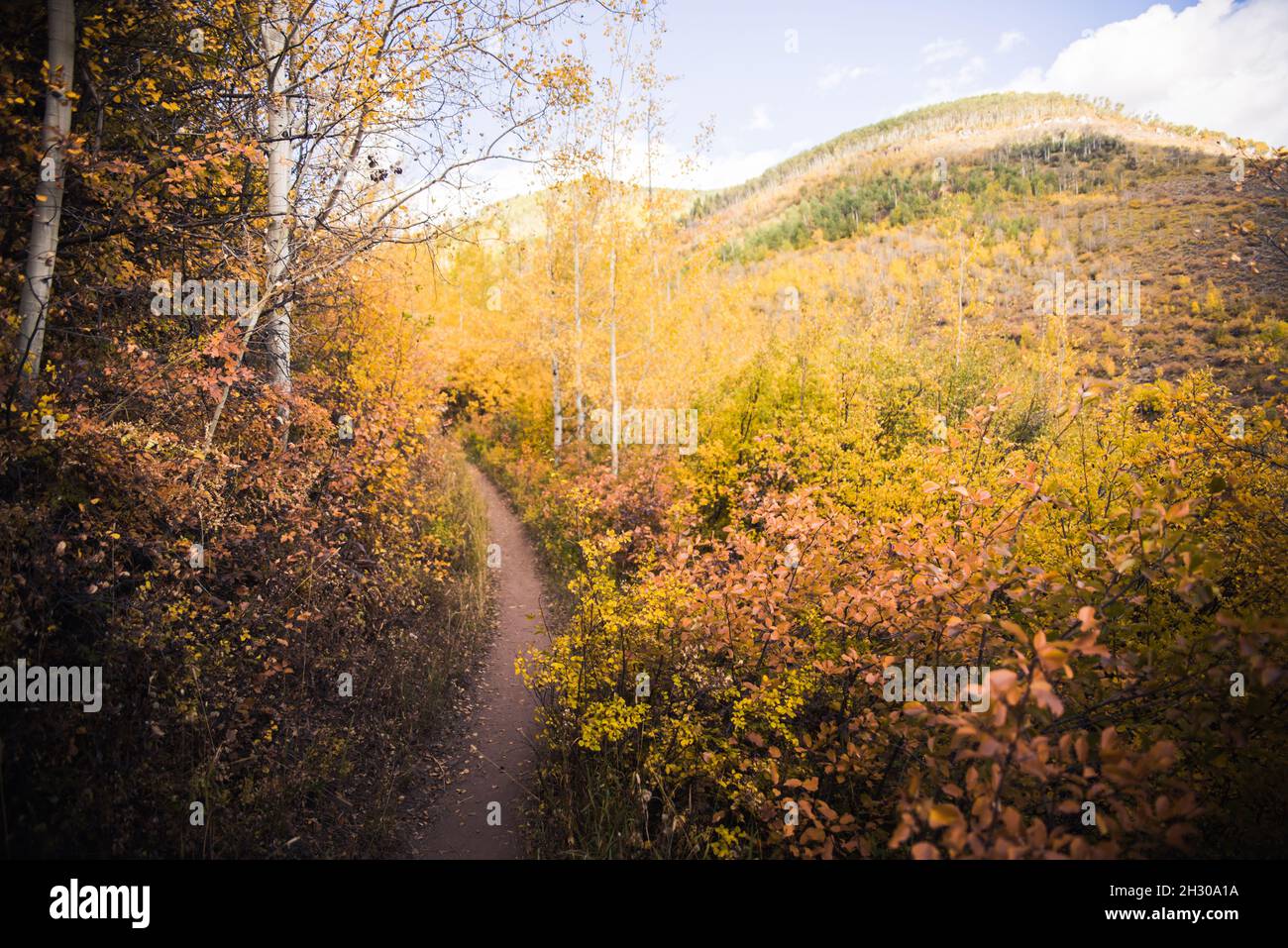 A trail in the mountains during fall Stock Photo - Alamy