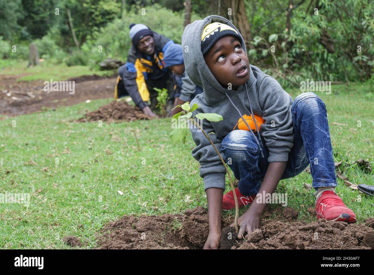 A young boy plants a tree seedling at a deforested area inside Mau Forest.As a measure to mitigate the impacts of climate change, the Kenyan government set a target to increase national tree cover to 10% by the year 2022, aiming at planting 1.8 billion tree seedlings between the years 2020 and 2022. Climate change has led to extreme weather conditions that have triggered an estimated 30 million displacements across the world with the global south being the hardest hit. Experts are warning heating above 1.5 degrees Celsius will be catastrophic and they are urging for rapid global commitments to Stock Photo