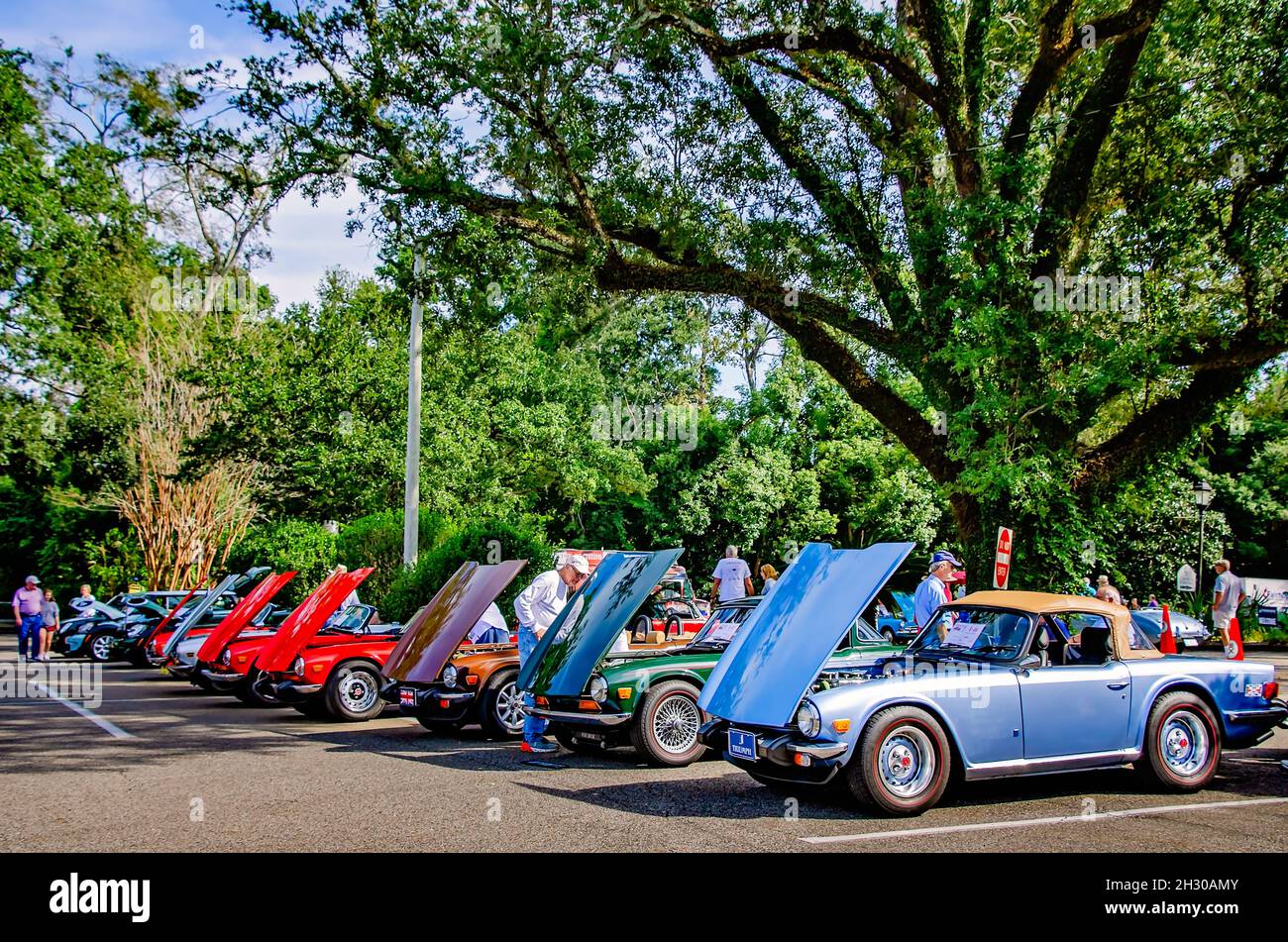 Vintage Triumphs are displayed at the 31st annual British Car Festival, Oct. 24, 2021, in Fairhope, Alabama. Triumph Motor Company was founded in 1885. Stock Photo