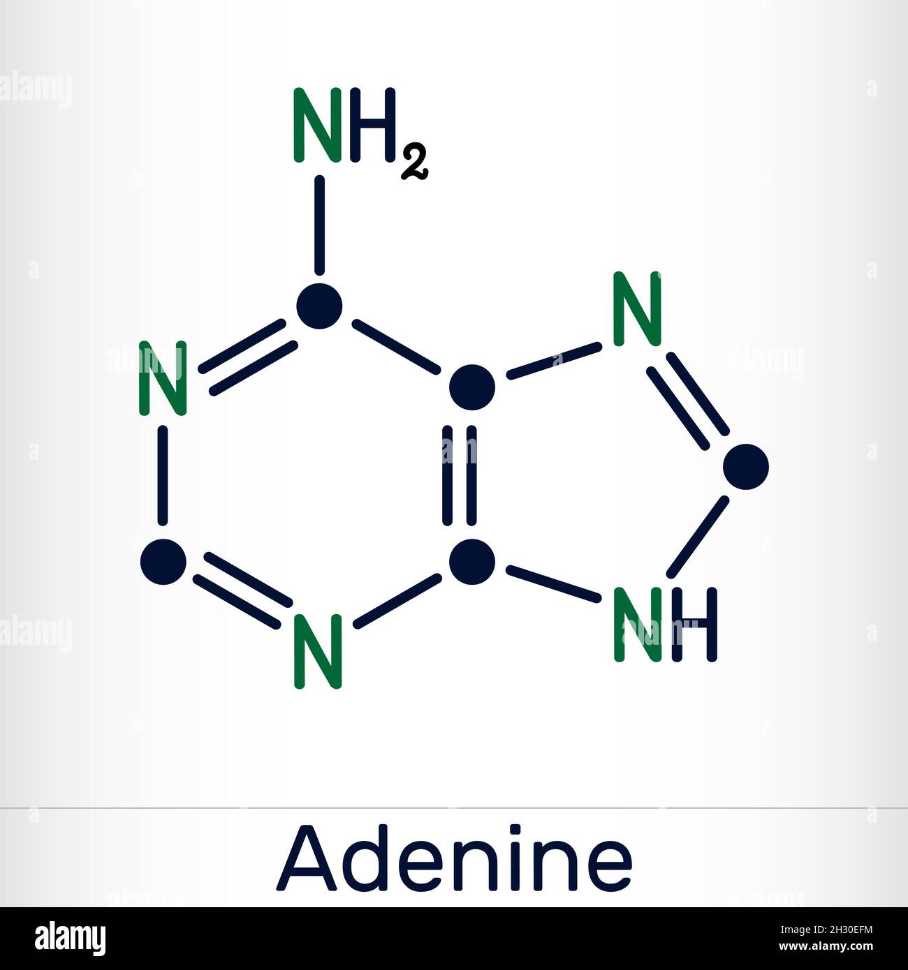 Adenine, Ade molecule. It is purine nucleobase, fundamental unit of the genetic code in DNA and RNA. Skeletal chemical formula. Vector illustration Stock Vector