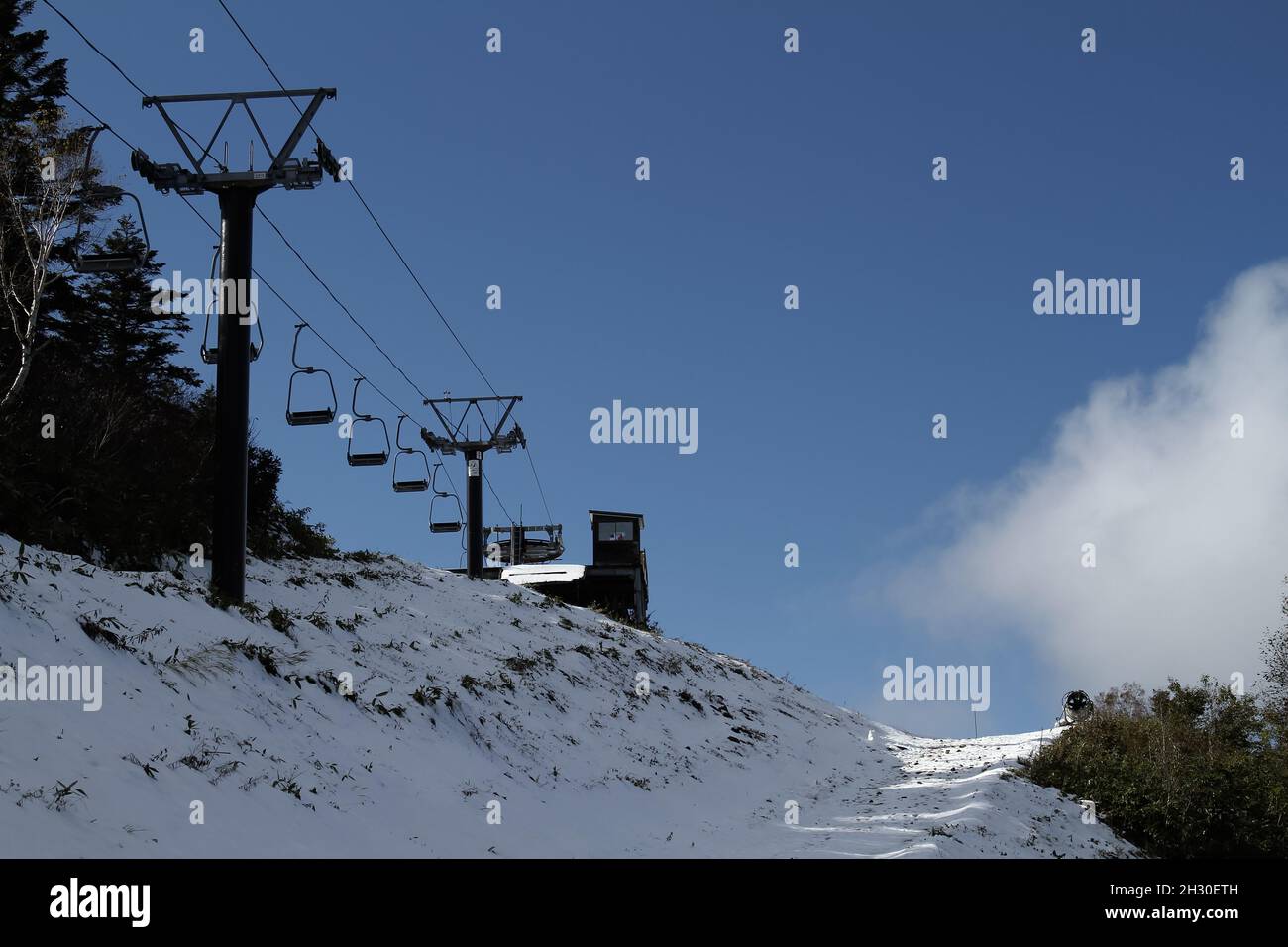 Ryuoo Ropeway Nagano, Japan, 2021-24-10 , View of the forest at the Ryuoo Sora ...