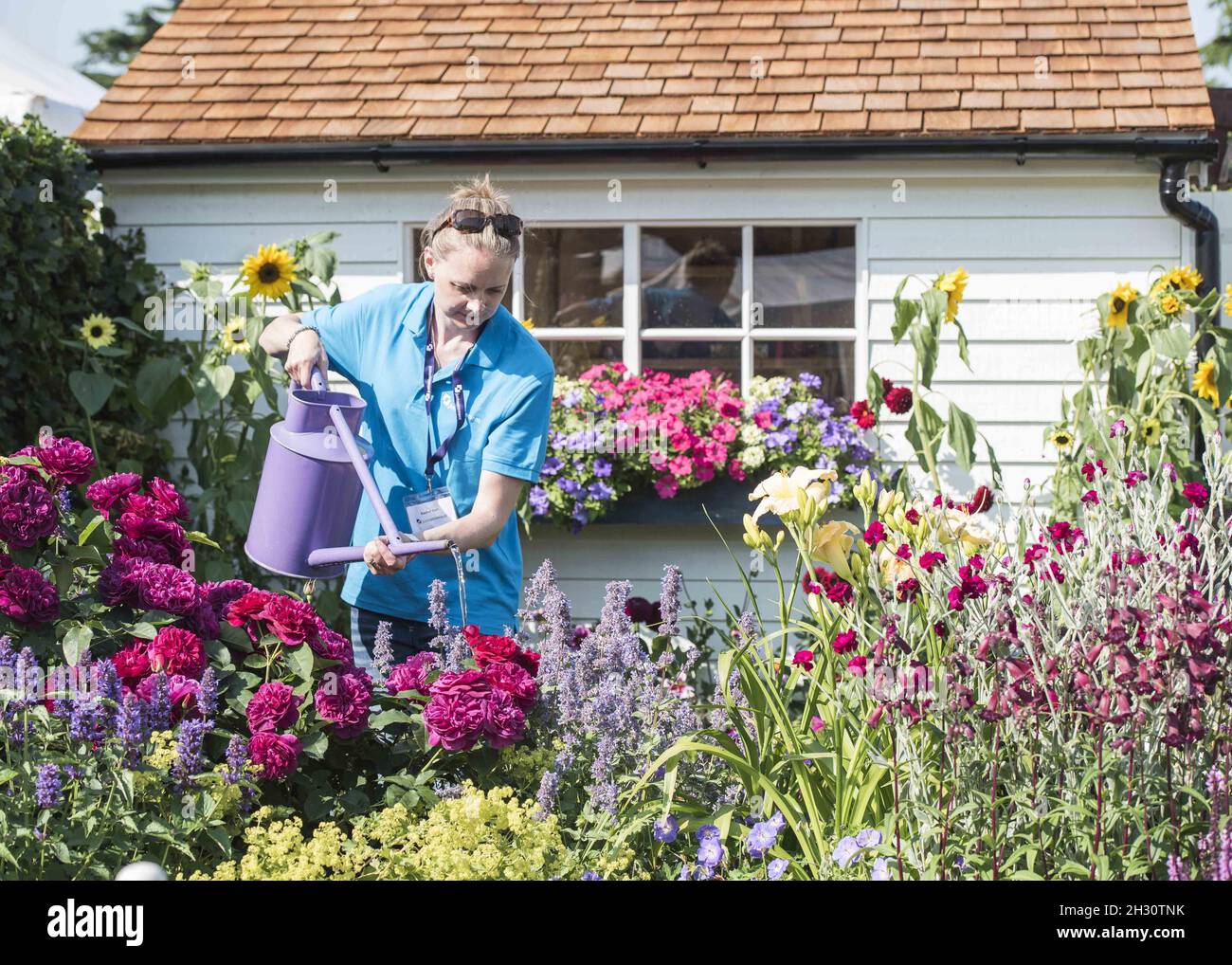 Plants are watered on the hottest day of the year in the Just