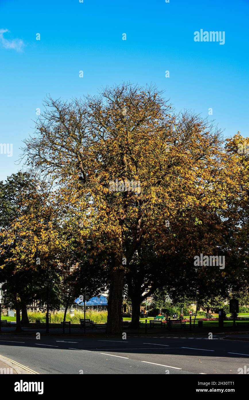 Changing of the colours hi-res stock photography and images - Alamy