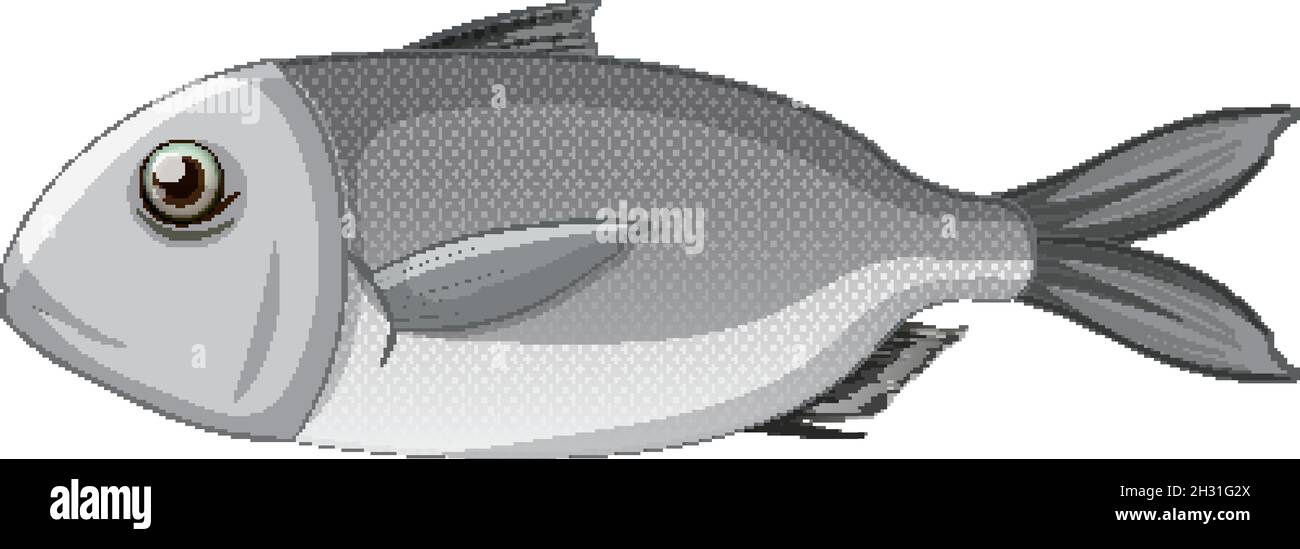 Simple fish cartoon style isolated illustration Stock Vector Image & Art -  Alamy