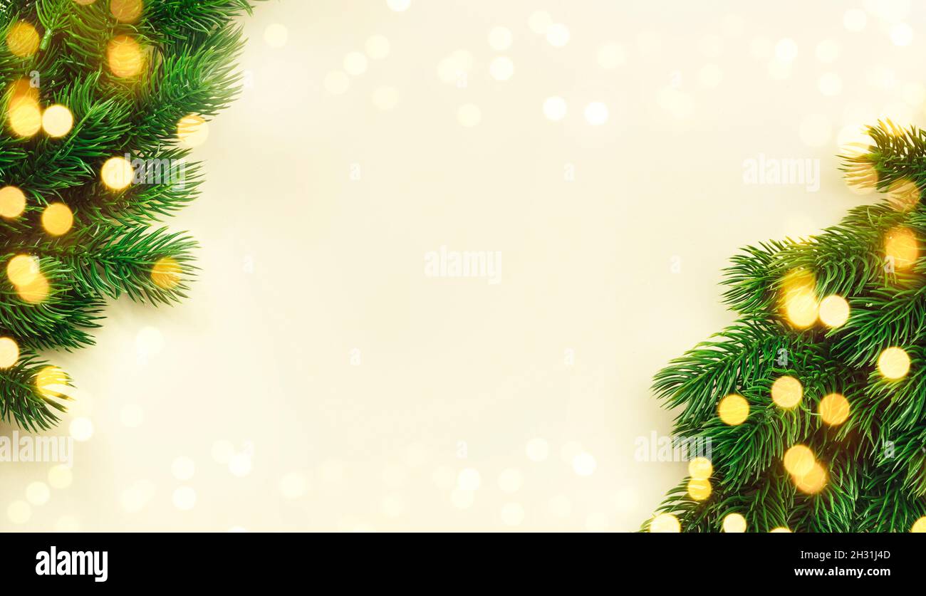 Christmas and New Year background with green spruce branches, light ...