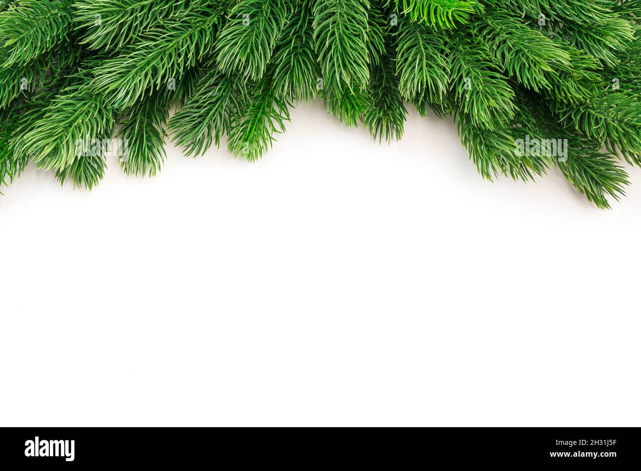 Christmas and New Year background with green spruce branches, white ...