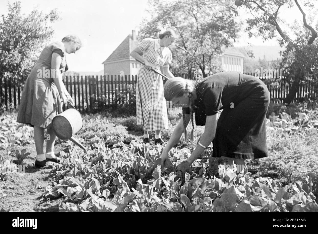 Schülerinnen des Kolonial Schülerheims Harzburg bei der Gartenarbeit, Deutsches Reich 1937. Students of the colonial residential school Harzburg working in the garden; Germany 1937. Stock Photo