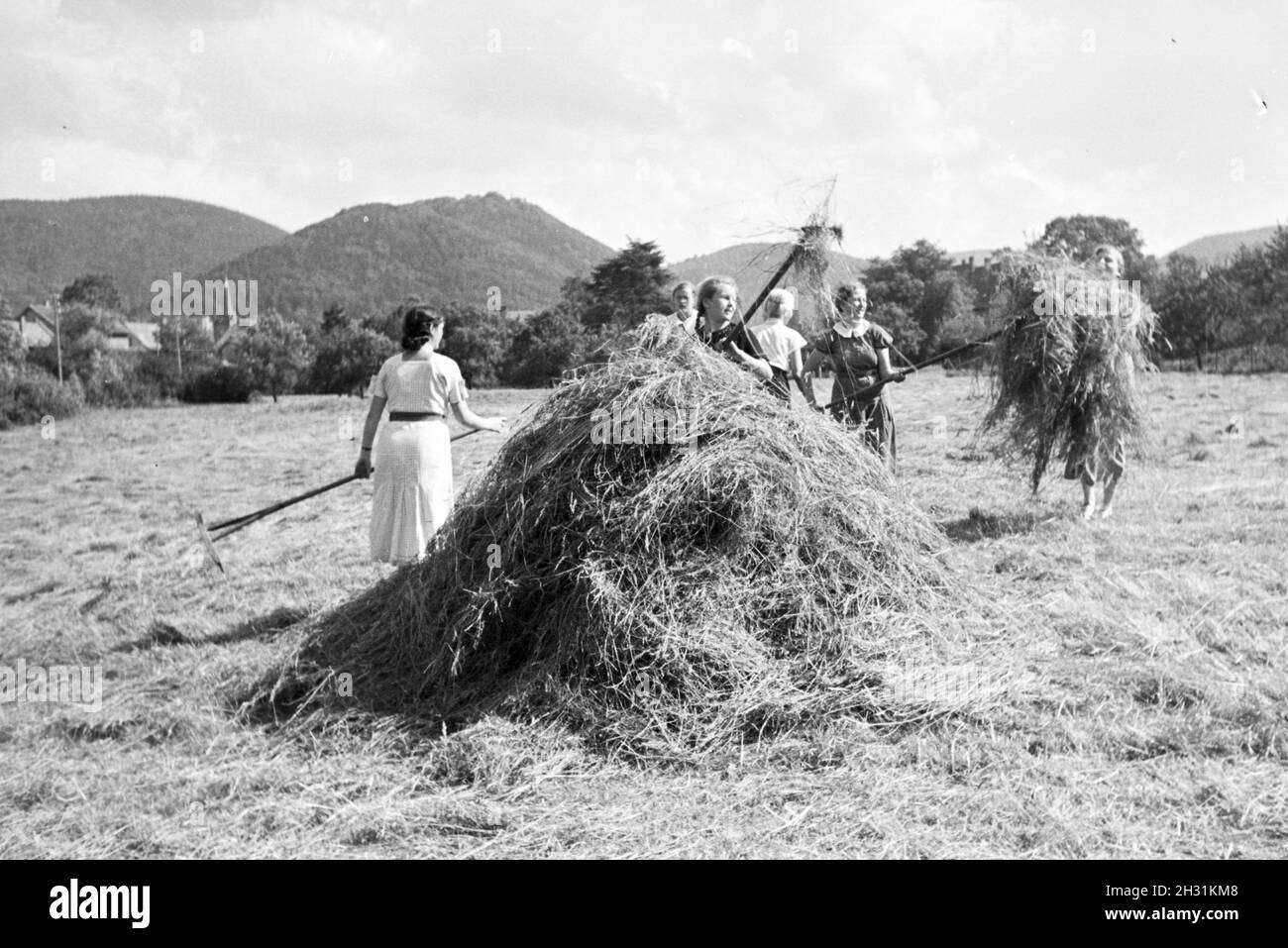 Schülerinnen des Kolonial Schülerheims Harzburg bei der Arbeit, Deutsches Reich 1937. Students of the colonial residential school Harzburg at work; Germany 1937. Stock Photo