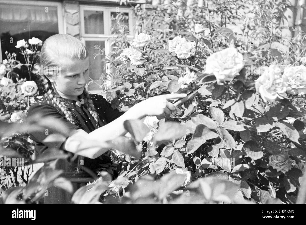 Schülerin des Kolonial Schülerheims Harzburg bei der Gartenarbeit, Deutsches Reich 1937. Student of the colonial residential school Harzburg working in the garden; Germany 1937. Stock Photo