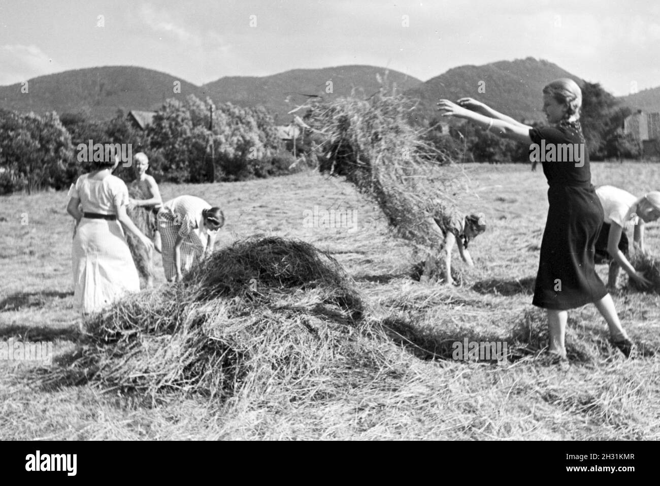 Schüler des Kolonial Schülerheims Harzburg bei der Arbeit, Deutsches Reich 1937. Students of the colonial residential school Harzburg at work; Germany 1937. Stock Photo