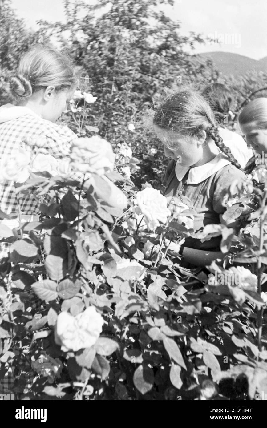 Schülerinnen des Kolonial Schülerheims Harzburg bei der Gartenarbeit, Deutsches Reich 1937. Students of the colonial residential school Harzburg working in the garden; Germany 1937. Stock Photo