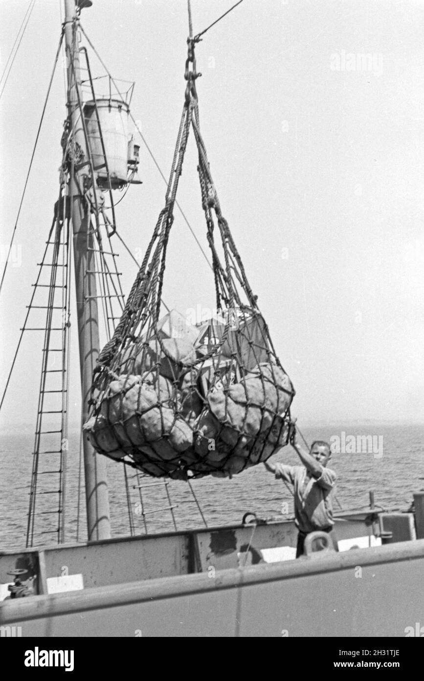 Abgepacktes Fischbein bei der Verladung auf dem Fabrikschiff "Jan Wellem" der deutschen