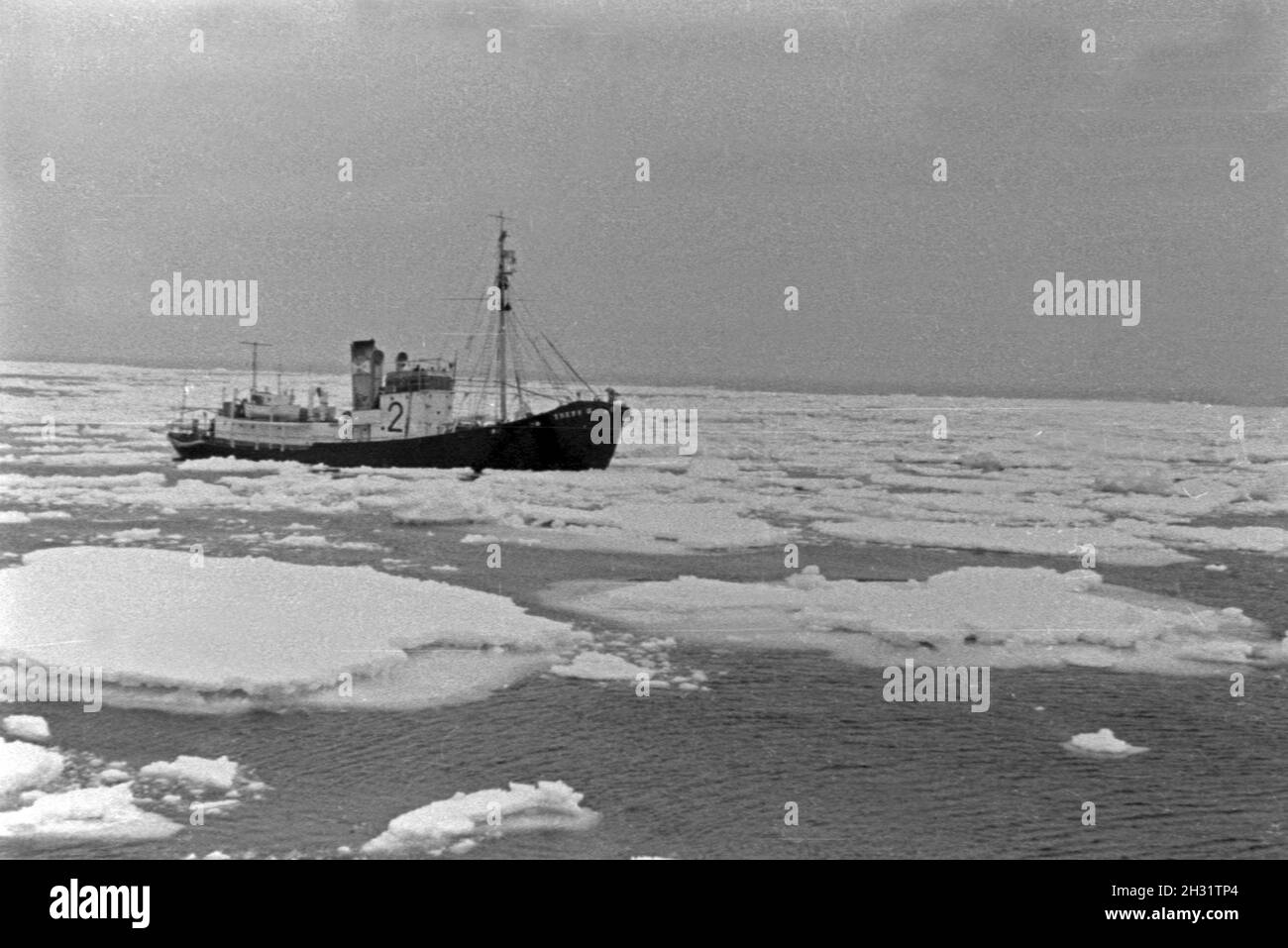 Fangboot 'Treff II' der deutschen Walfangflotte im Eismeer der Antarktis, 1930er Jahre. Whaling boat 'Treff II' of the German whaling fleet on the Antarctic Sea, 1930s. Stock Photo