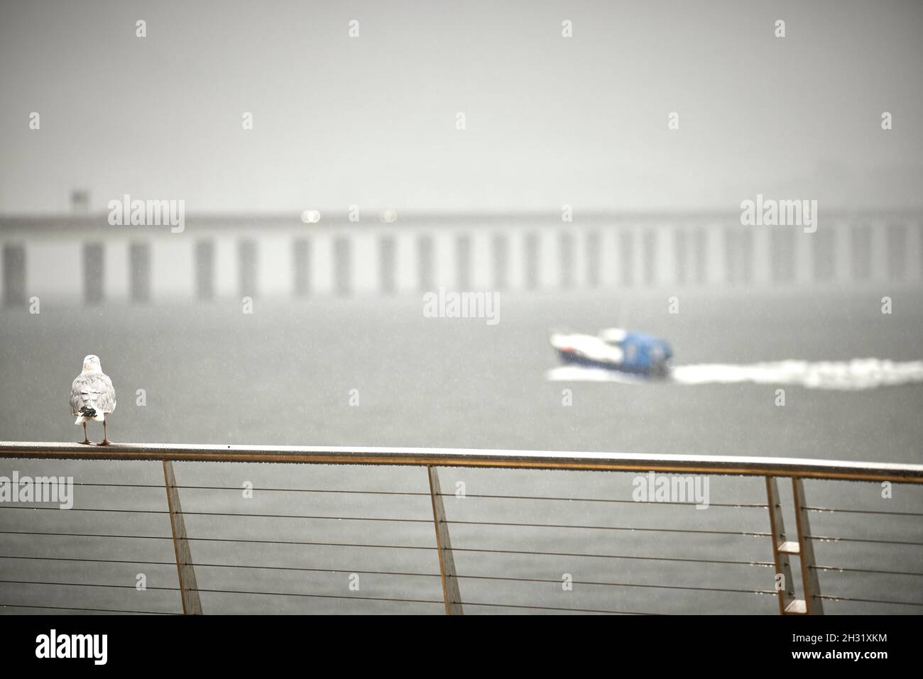 Dundee, Scotland,  Riverside and the Tay Road Bridge in the fog Stock Photo