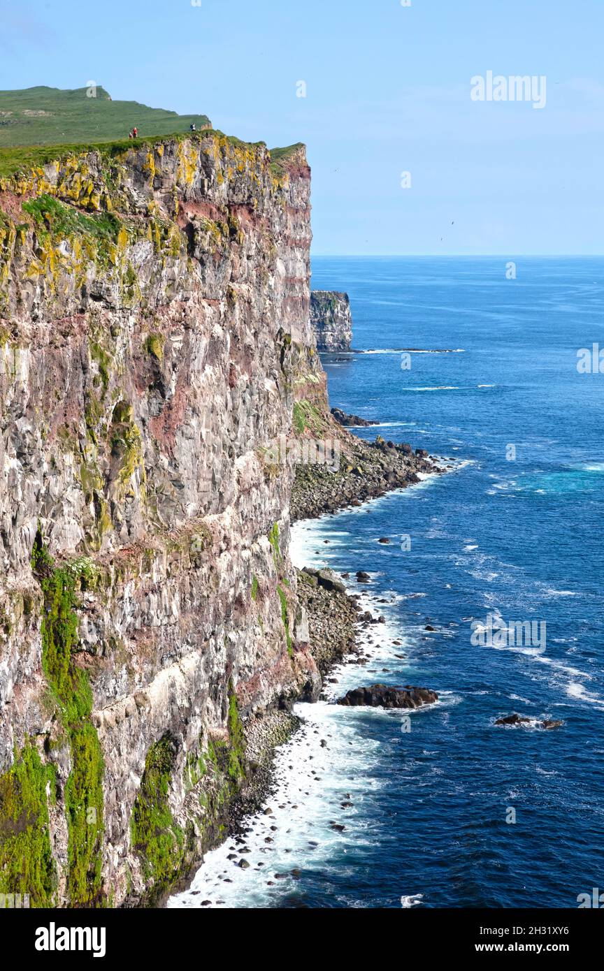 These majestic high cliffs are in Latrabjarg promontory, westernmost point in Iceland - Home to millions of birds, they re Europe's largest bird cliff Stock Photo