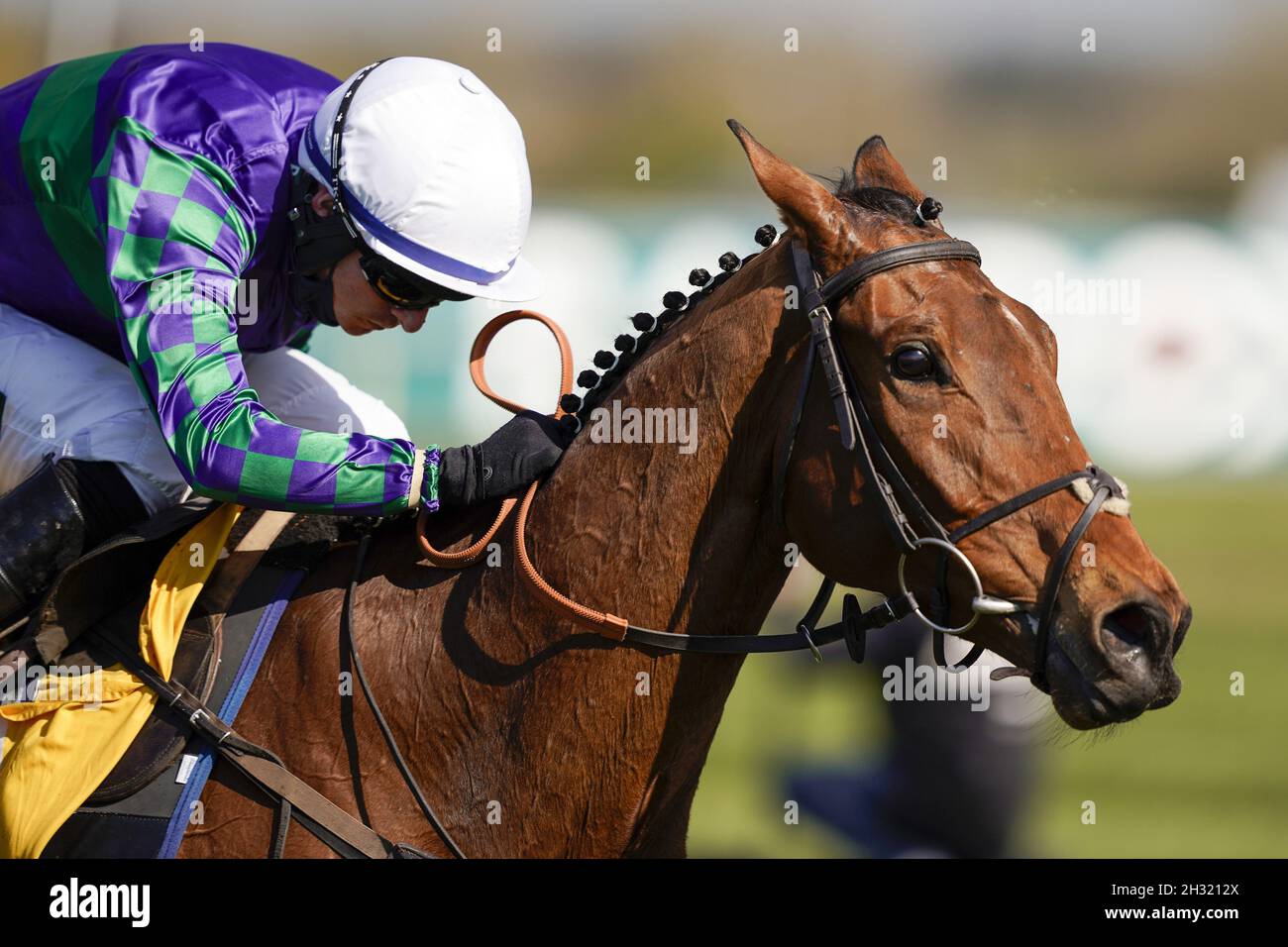 File photo dated 10-04-2021 of Thyme Hill ridden by Tom O'Brien. Philip Hobbs will be looking to continue his red-hot start to the season when he takes stable star Thyme Hill to France for the Grand Prix d'Automne at Auteuil next month. Issue date: Monday October 25, 2021. Stock Photo