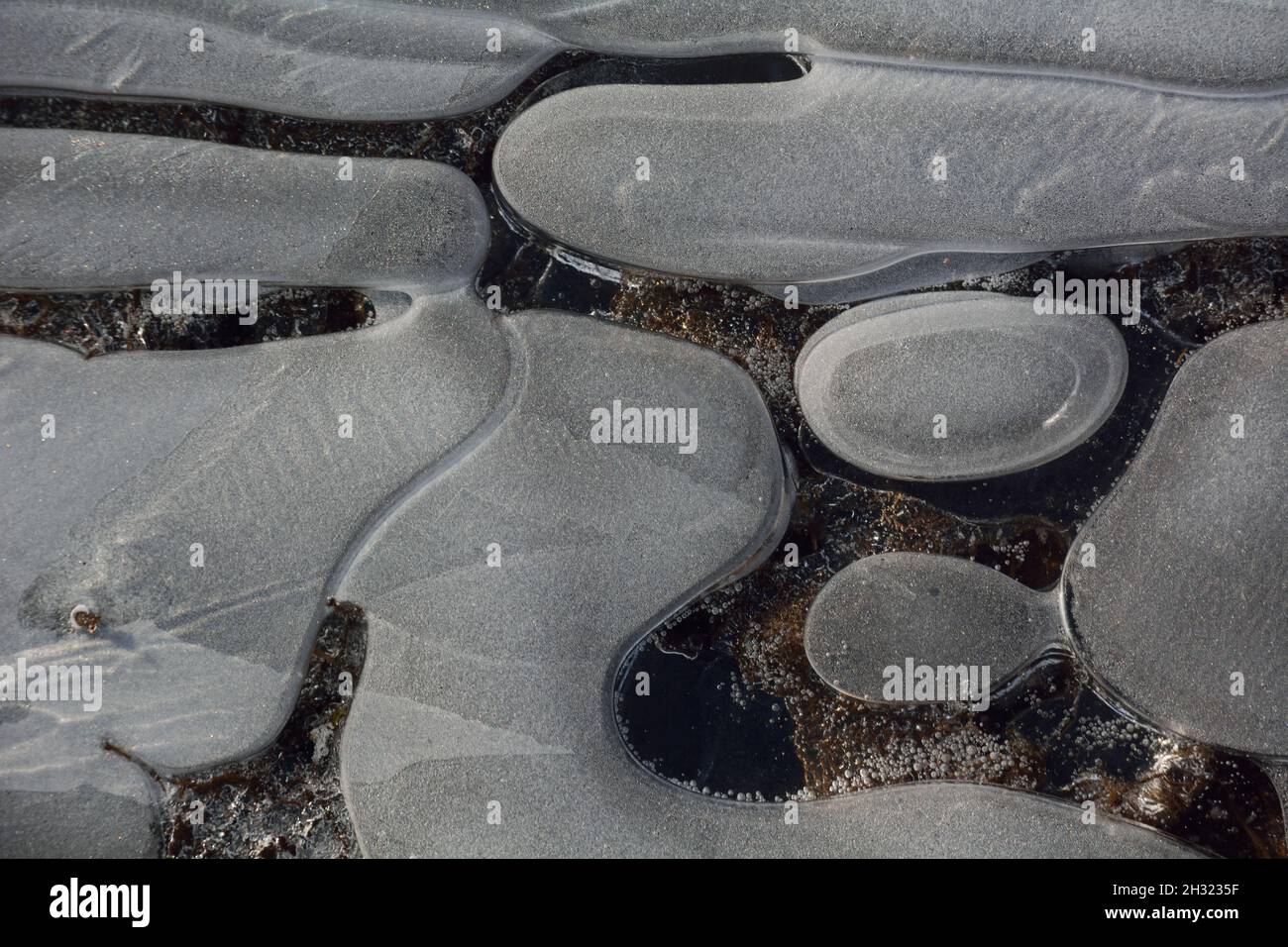 Air Trapped In Thin Layer Of Ice. Stock Photo