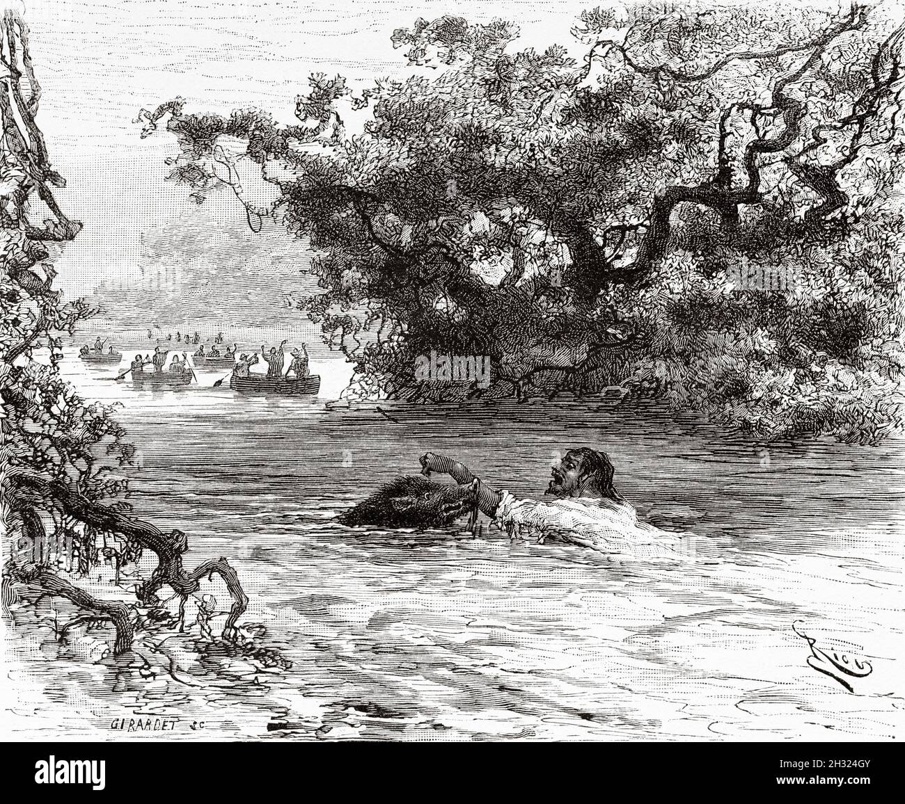 Carpincho bite. Paraguay, South America. Old 19th century engraved ...