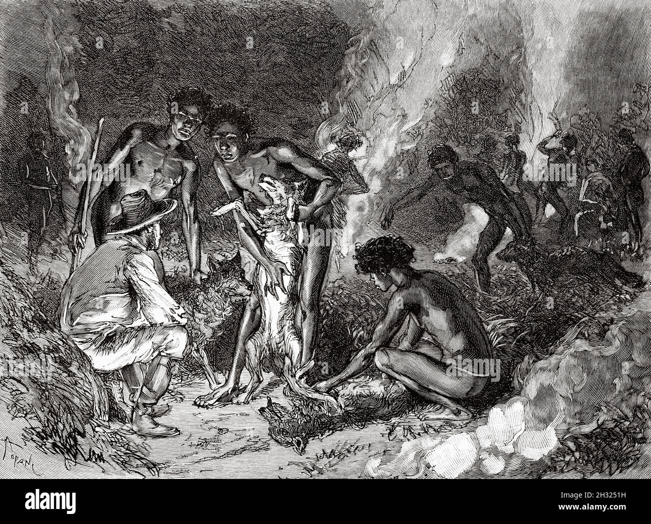 Indigenous Australian aborigines with dingo, dogs that guarded Aboriginal human settlements, acting as sentinels and company. They kept the camp clean, but in times of famine they could serve as food. Queensland, Australia. Old 19th century engraved illustration, Journey to Northeast Australia by Carl Lumholtz 1880-1884 from Le Tour du Monde 1889 Stock Photo